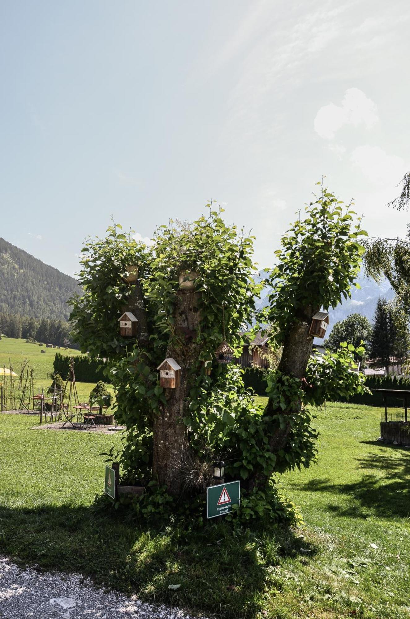 Hotel Ehrwalderhof Zewnętrze zdjęcie